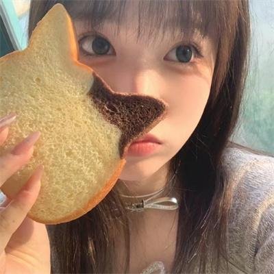 冰河世纪：猛犸象的圣诞
